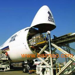 浙江省紹興市進出口代理與外貿代理服務全解析